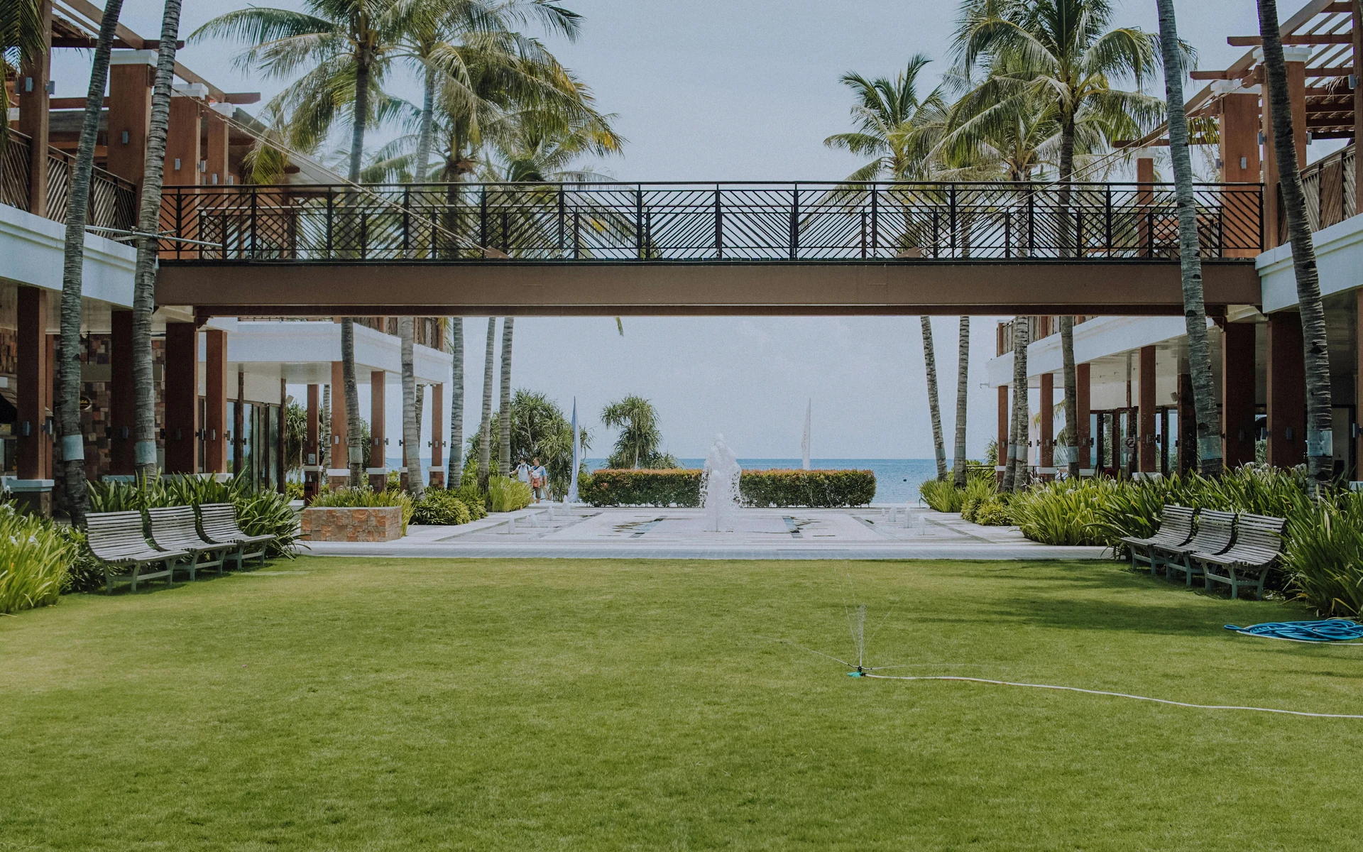 Luxury resort entrance framed by palms